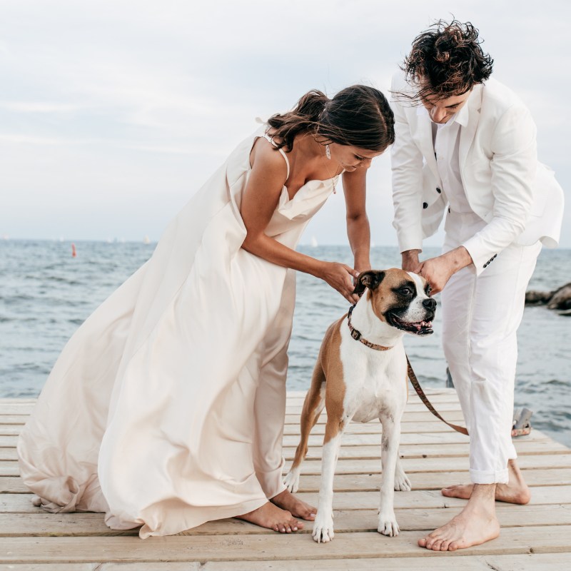 Hochzeit Hund Vorbereitung