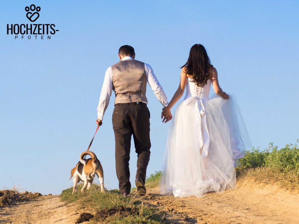 Hund Hochzeit Vorteile Nachteile